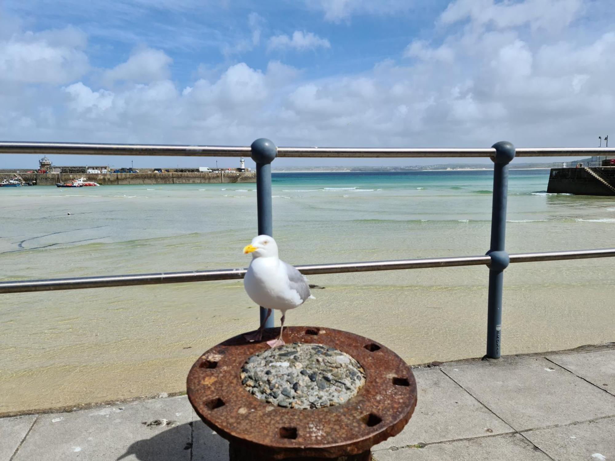 Central Penzance, Modern Stylish Home, Near Seafront With Gated Parking Exterior photo